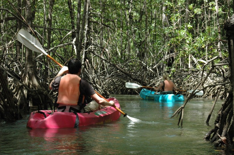 10 Fun Things to Do in Manuel Antonio