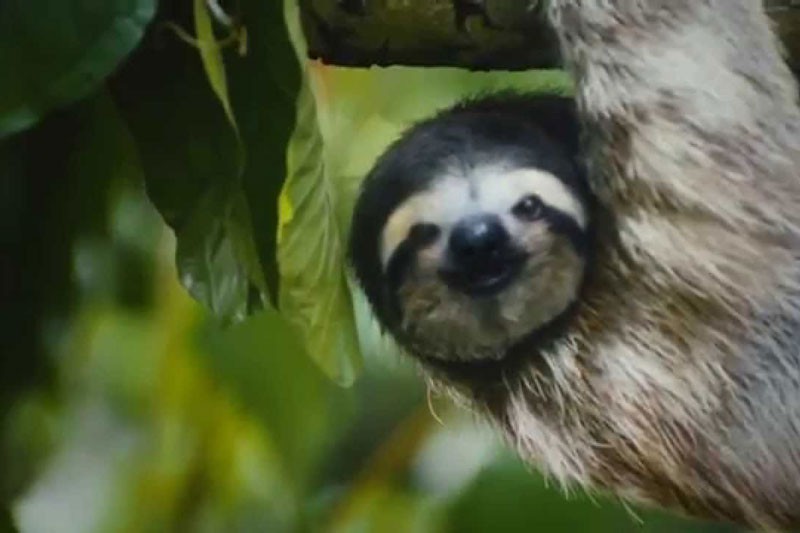 A Great Video by Costa Rica's Tourism Board - Must Watch