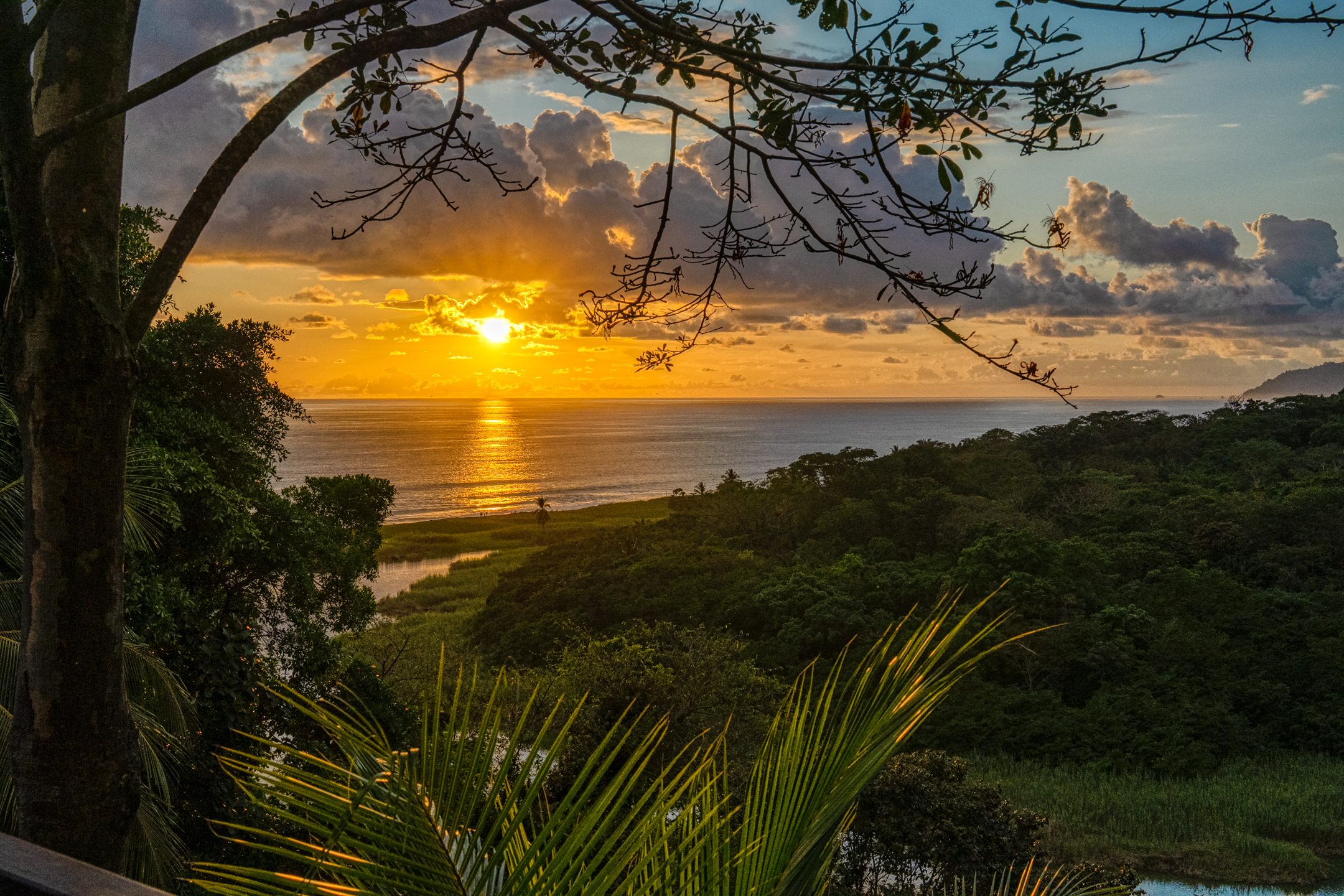 Exploring Eco-Lodge Retreats and Eco-Tourism in Cabo Matapalo, Costa Rica