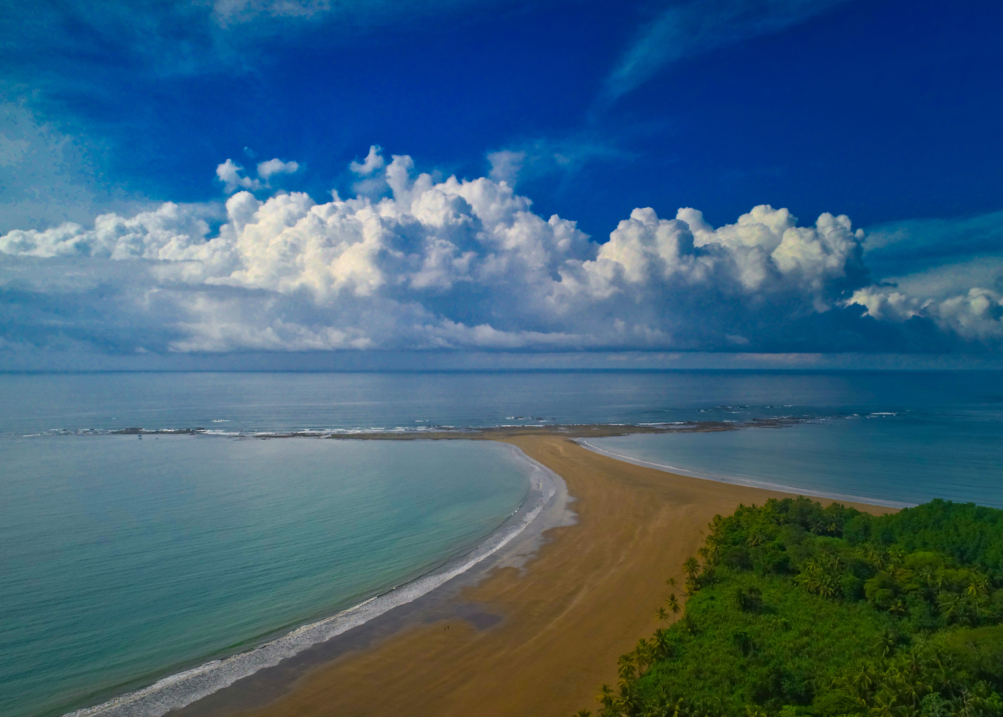 Discovering the Enchantment of Marino Ballena National Park