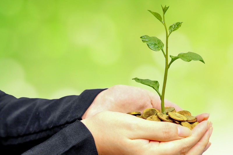 Tips for Diversifying Your Costa Rica Investment Portfolio