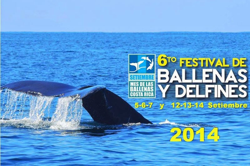New Regulations In Place for Whale Migration Season