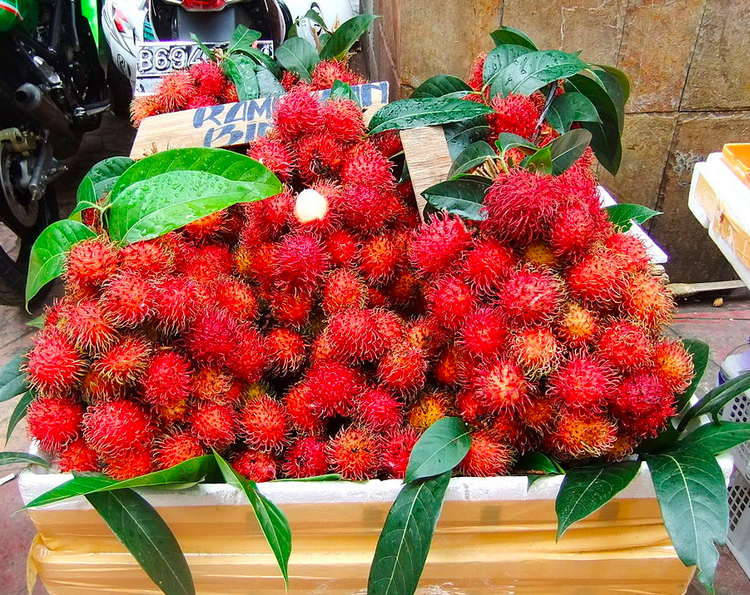 It’s Mamonchino Season!