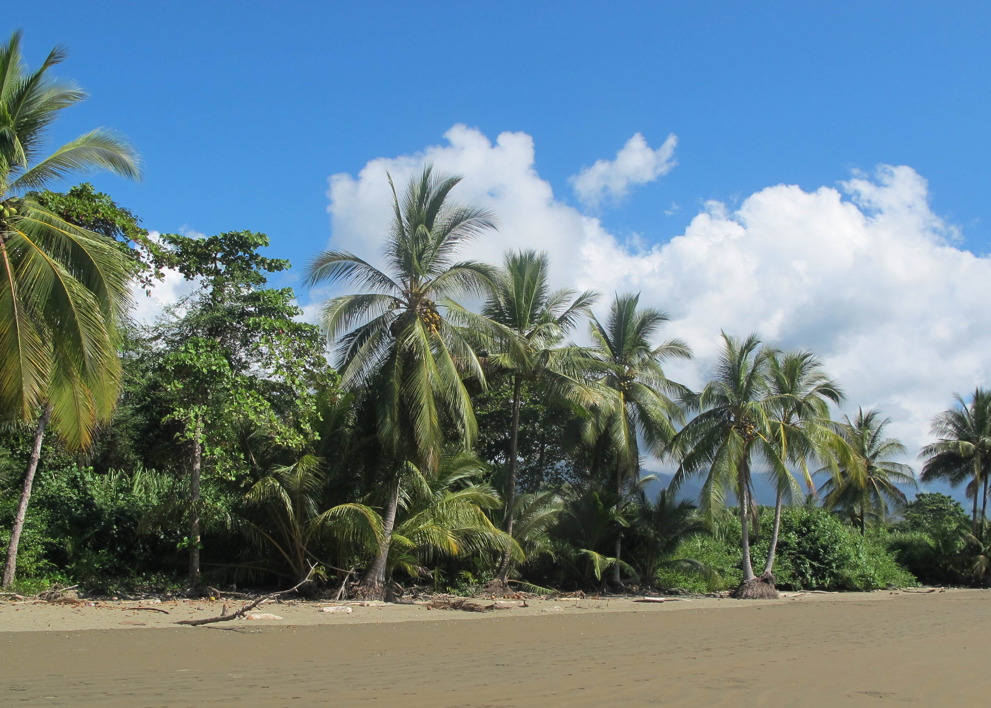 Unveiling Uvita: A Hidden Gem in Costa Rica