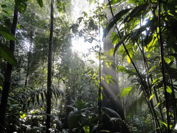 A River Runs Through It - Fantastic Costa Rica Farm with plenty of Water resources Reduced by 400K!
