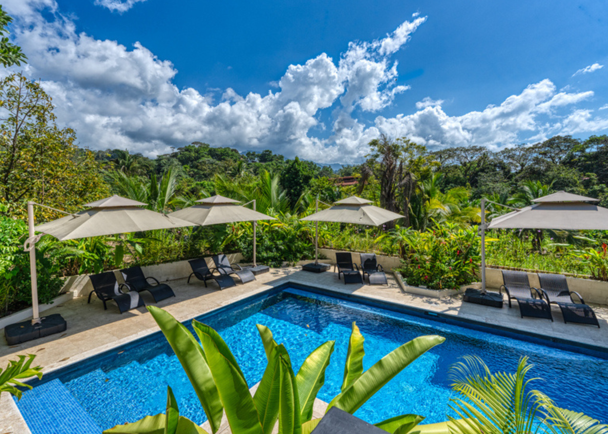 Plaza Bahia Moana: A Tropical Oasis and Smart Investment in Costa Rica