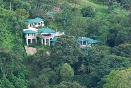 Relax and Own your Own Business in Paradise