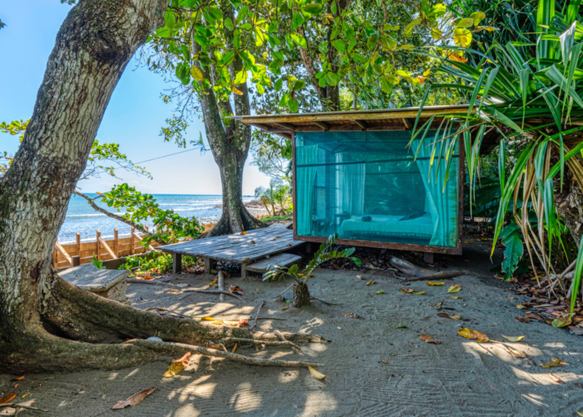 Ojo Del Mar: Embrace Nature's Bounty at this Spectacular Eco-Lodge