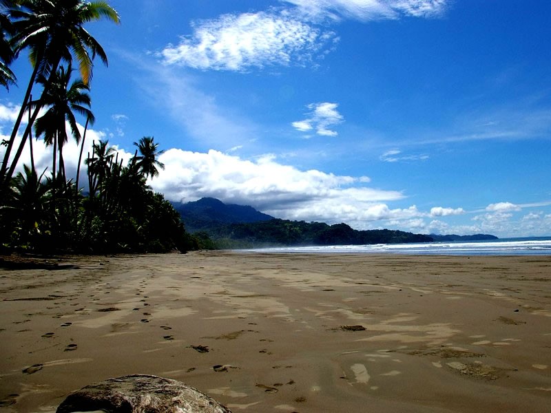 The One Reason Why Dominical Real Estate was HOT in 2013 “The Path of Development”