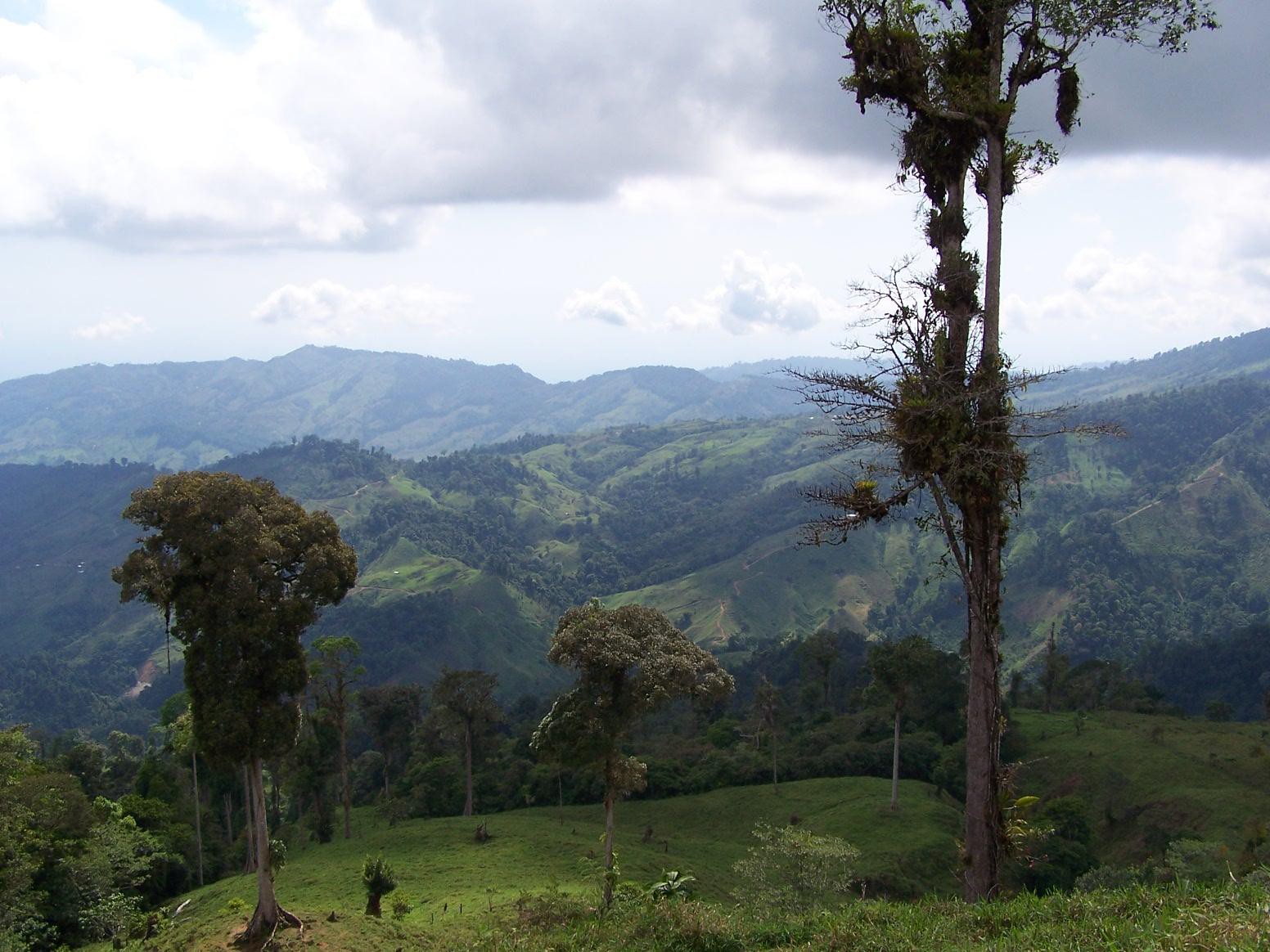 Moving Mountains in Costa Rica - Exquisite Opportunity, La Fila Farm - $875K