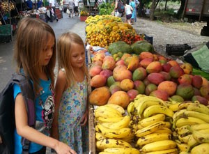 Fresh Fruits & Vegetables at the Quepos Farmers Market