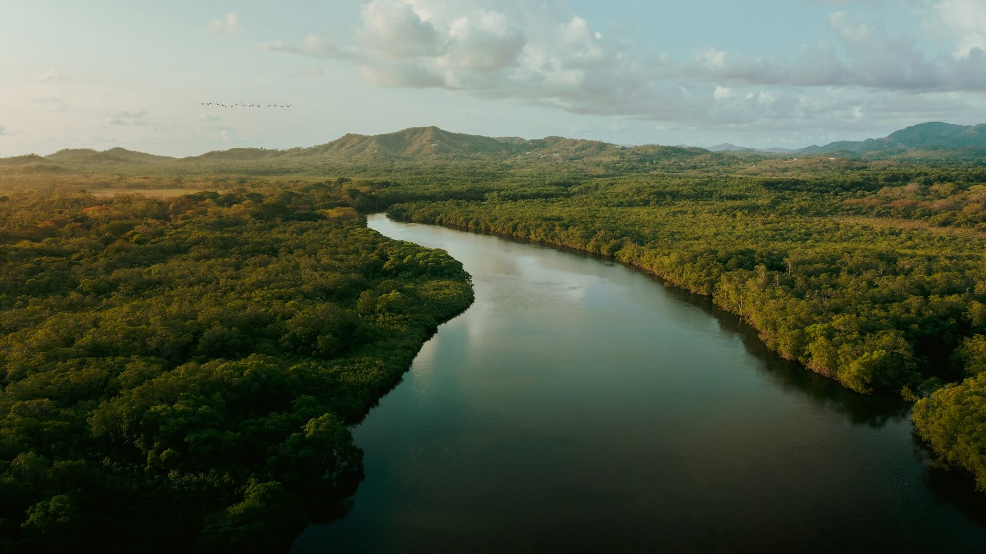 Why Smart Investors Use Conservation Easements in Costa Rica