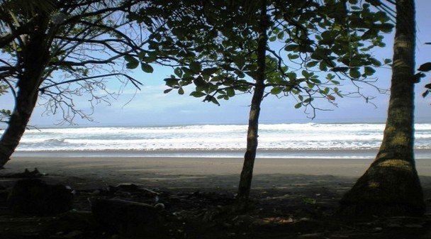 South Pacific Real Estate Market Update – 2013