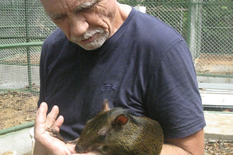 Dominical Animal Sanctuary Volunteer Program Offers Distinctive Opportunity