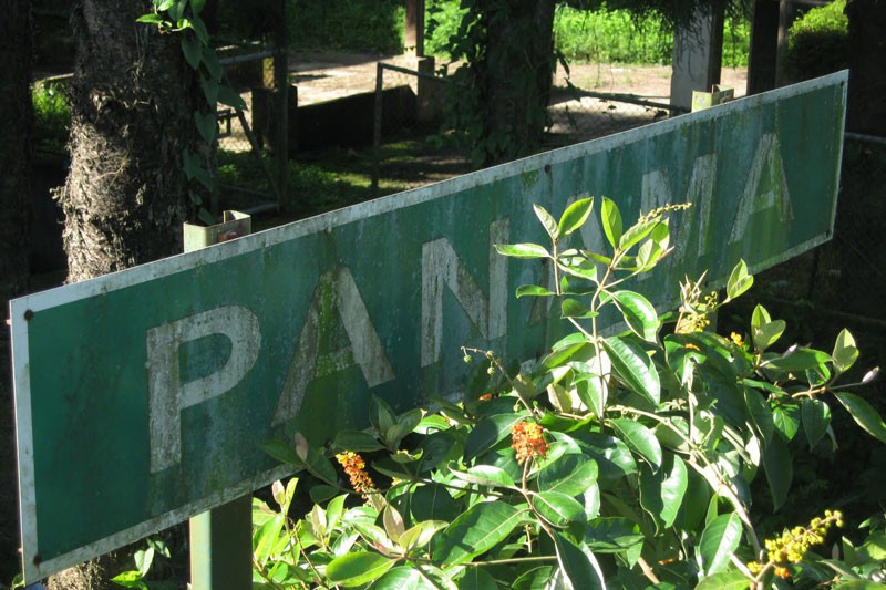 How I lost a Customer to Panama – A Concerning Bummer!