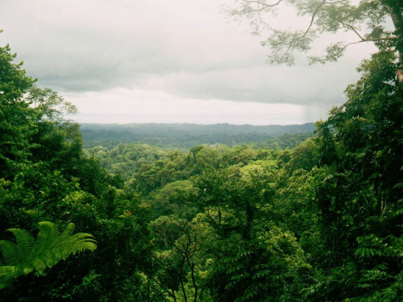 Park Rangers in Costa Rica Receive Satellite Tech Assistance
